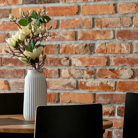 Modern Jaworowa Perfect For Remote Work By Renters * Poznaň