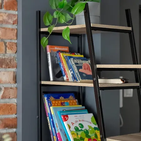 Modern Jaworowa Perfect For Remote Work By Renters 公寓 波兹南